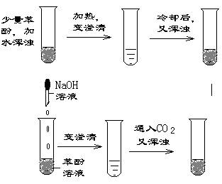 先用naoh溶液洗涤,苯酚和氢氧化钠生成苯酚钠和水